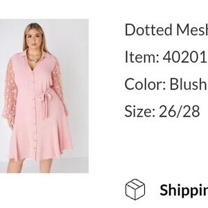 Blush Pink Dotted Mesh Women Dress Ashley stewart sz 26/28.